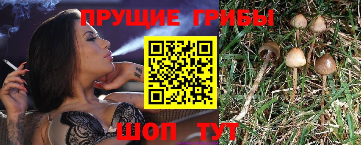 Псилоцибиновые грибы мицелий  Вход с VPN  Галлюциногенные грибы Magic Shrooms  Людиново 